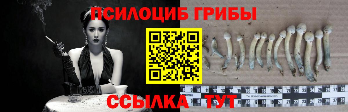 Псилоцибиновые грибы мицелий Дзержинский